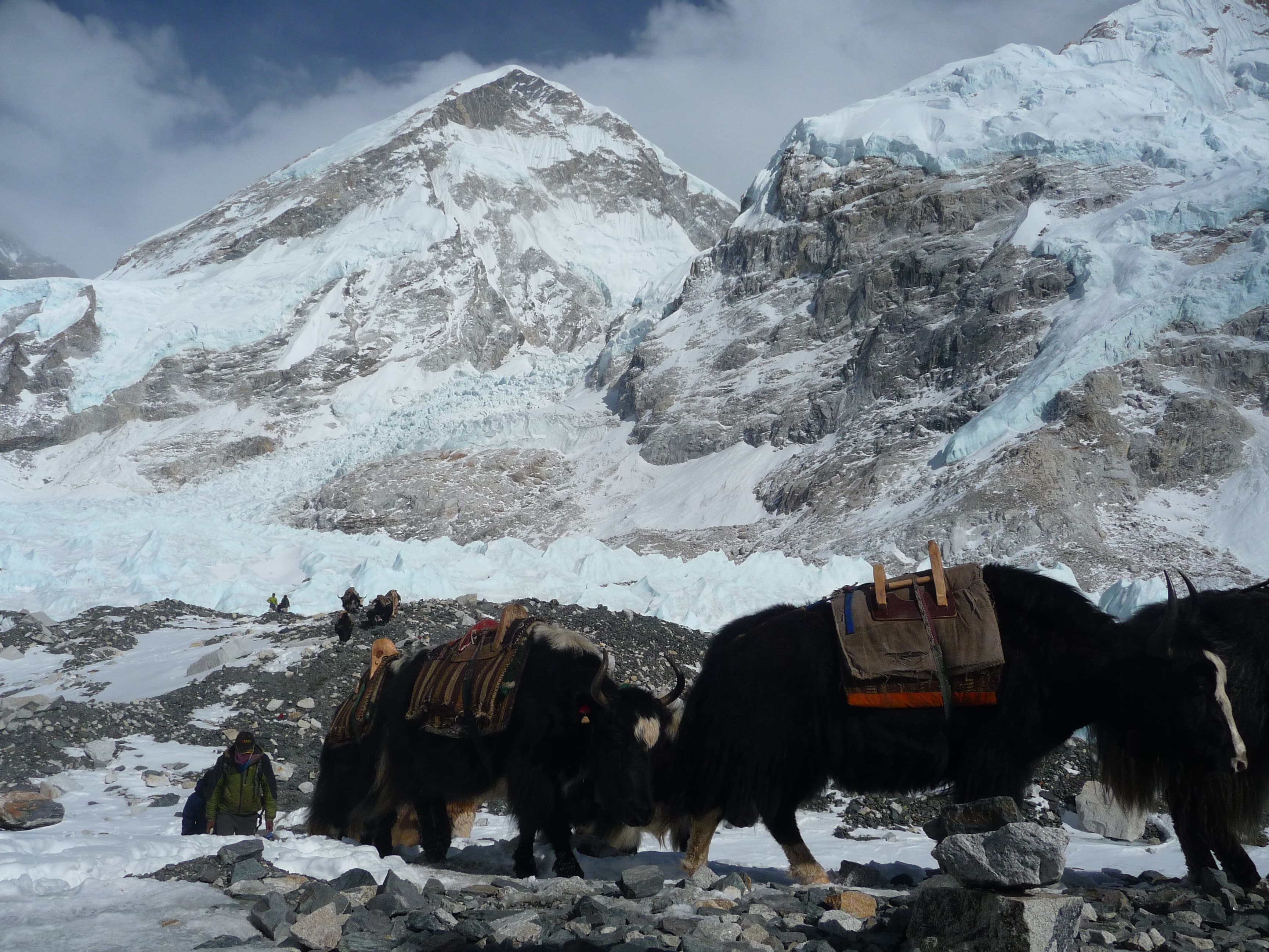 Everest Base Camp Trek 2026/2027 gallery