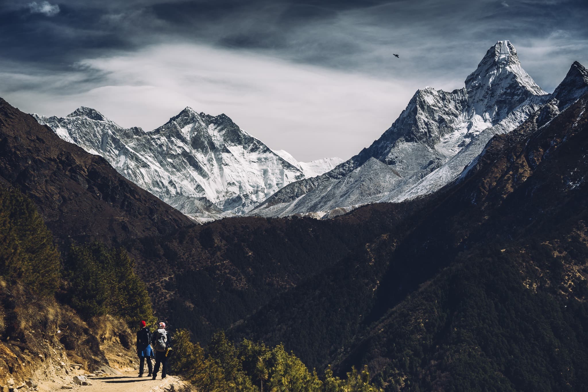 Everest view Luxury Trek  2026/2027 gallery