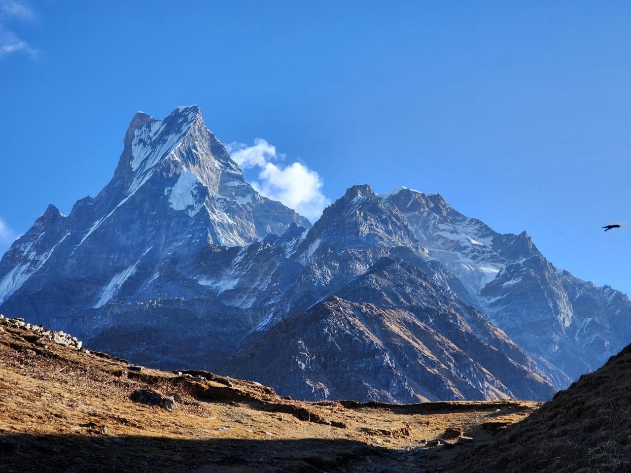 Mardi Himal Trek 2026/2027 gallery